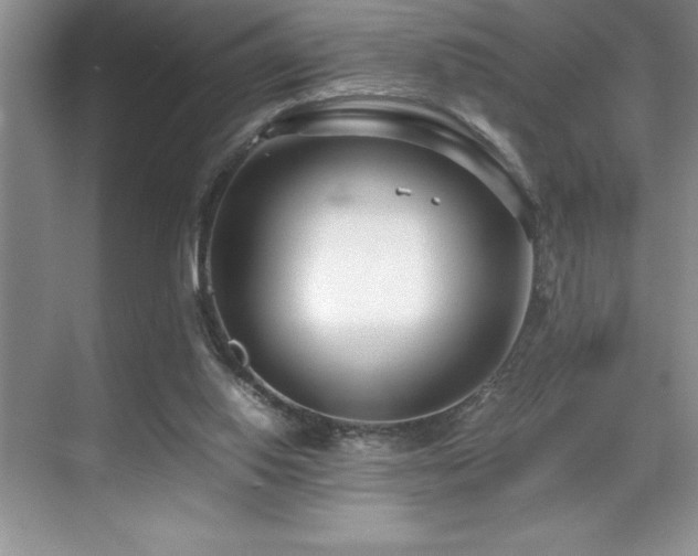 X0000071950062200607071221