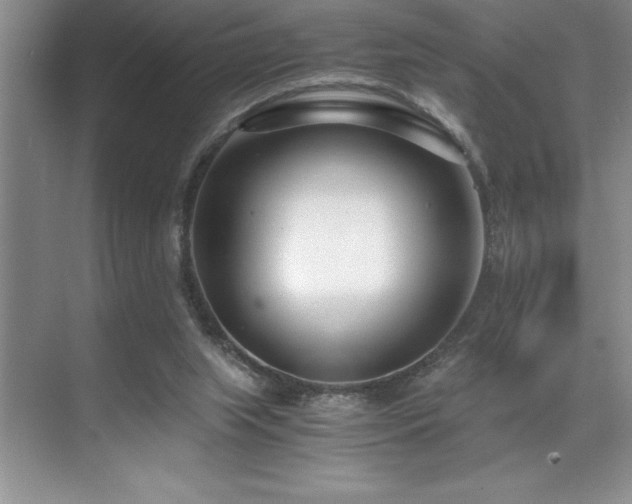 X0000071950063200607071221