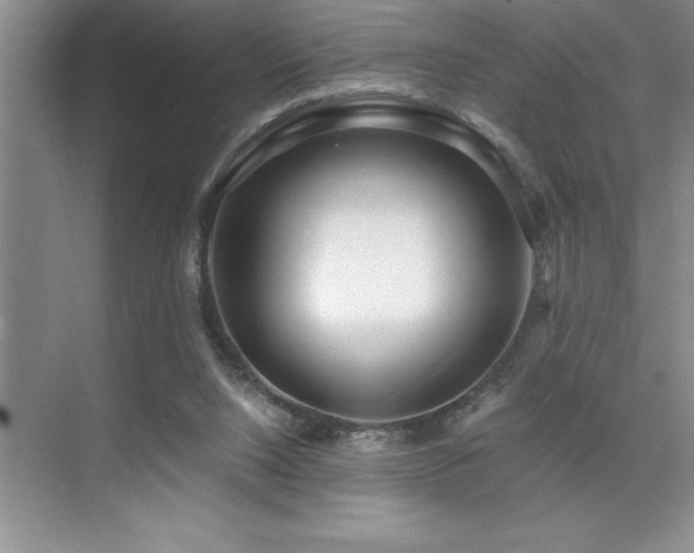 X0000071950064200607071221