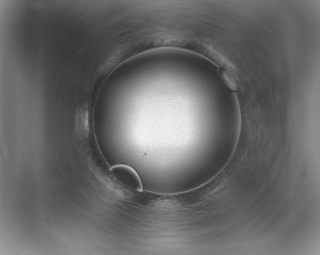 X0000071950067200607071221