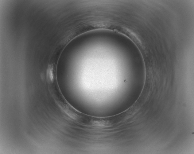 X0000071950069200607071221