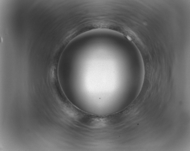 X0000071950071200607071221