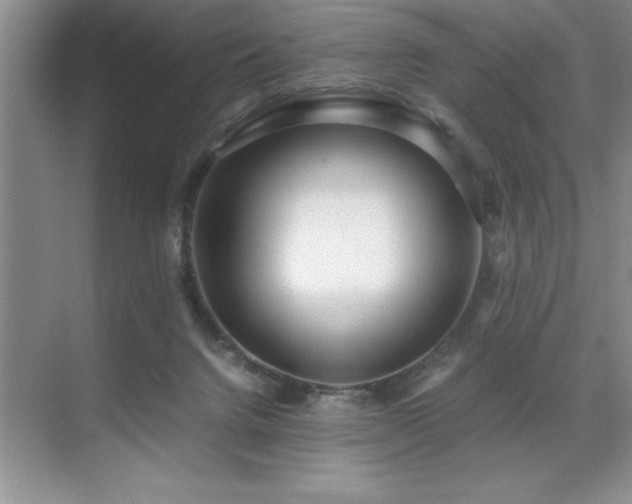 X0000071950072200607071221