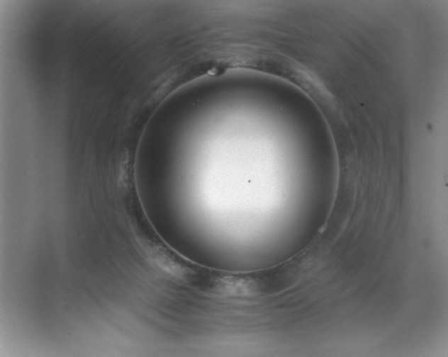 X0000071950073200607071221