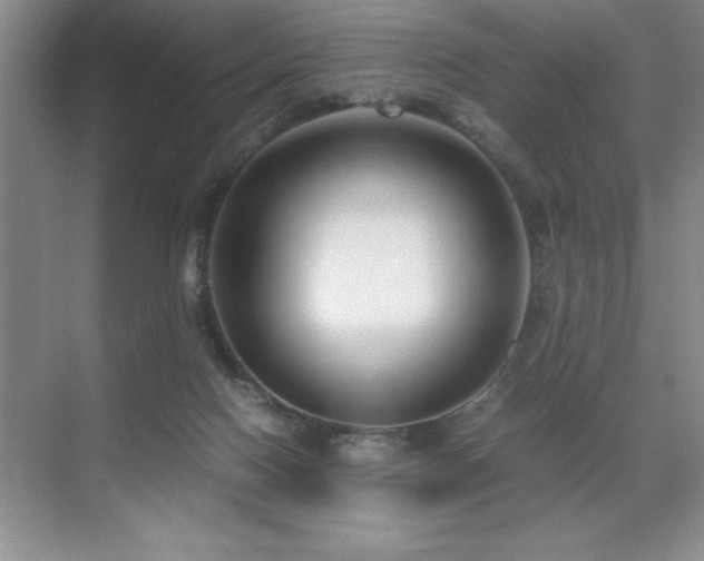 X0000071950074200607071221