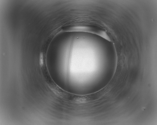 X0000071950075200607071221