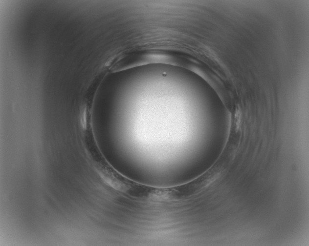 X0000071950076200607071221