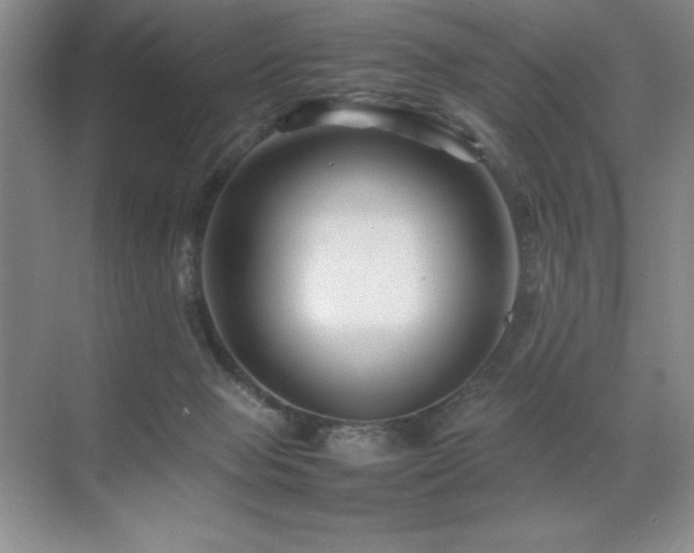 X0000071950077200607071221