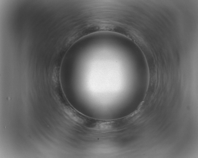 X0000071950078200607071221