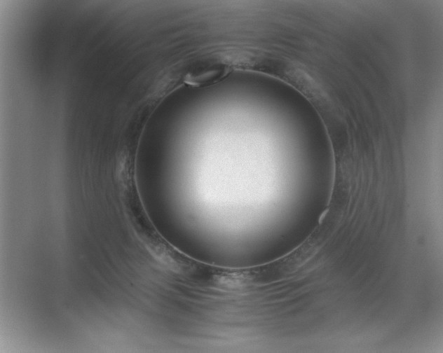 X0000071950079200607071221