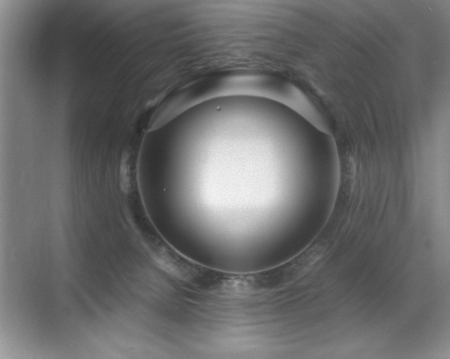 X0000071950080200607071221