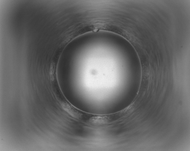 X0000071950082200607071221