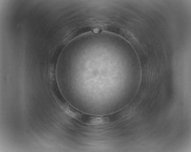 X0000071950083200607071221