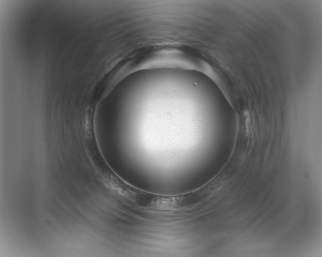 X0000071950084200607071221