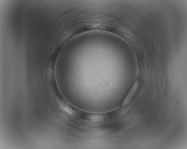 X0000071950085200607071221