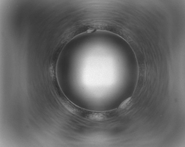 X0000071950086200607071221