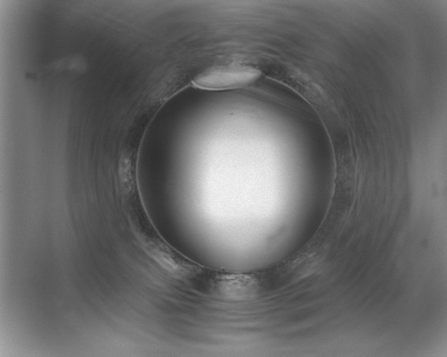 X0000071950087200607071221