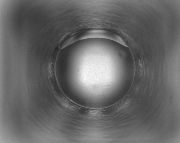 X0000071950088200607071221