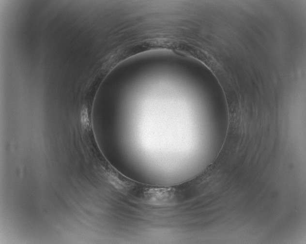 X0000071950089200607071221