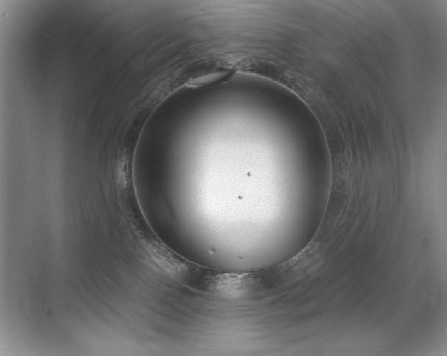 X0000071950090200607071221