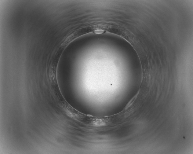 X0000071950091200607071221