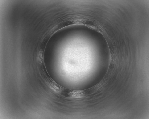 X0000071950093200607071221