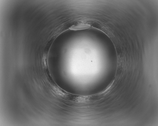 X0000071950094200607071221