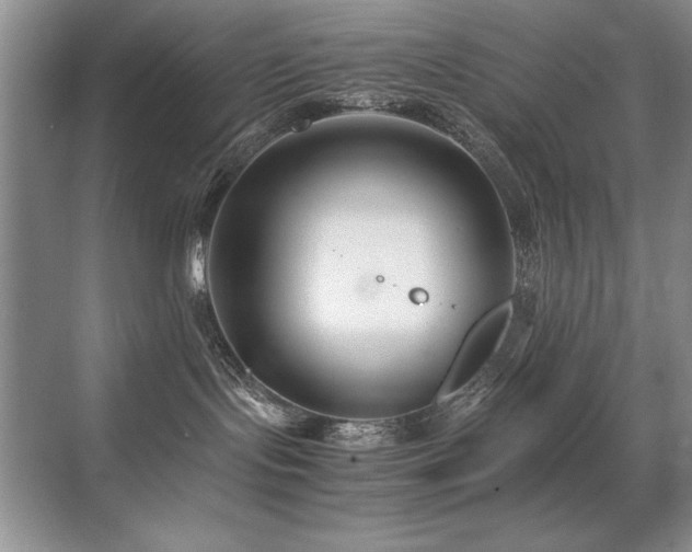 X0000071950095200607071221