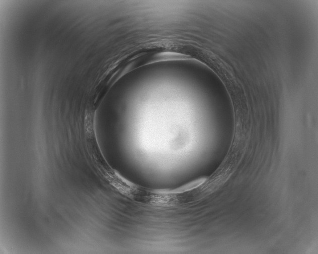 X0000071950096200607071221