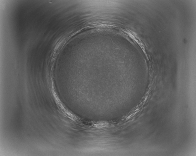 X0000071950097200607071220