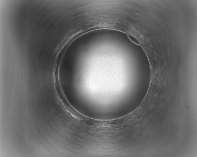 X0000071950098200607071220