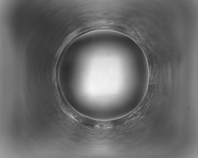 X0000071950099200607071220