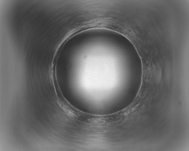 X0000071950100200607071220