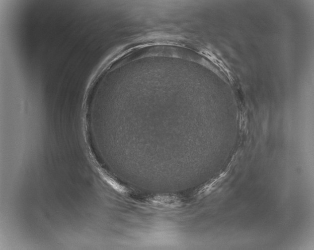 X0000071950101200607071220