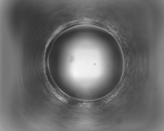 X0000071950102200607071220