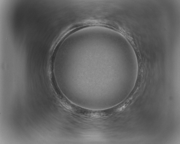 X0000071950103200607071220