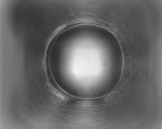 X0000071950104200607071220