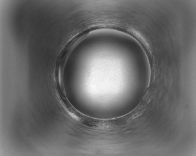 X0000071950105200607071220