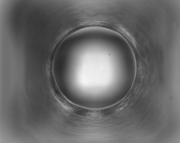 X0000071950107200607071220