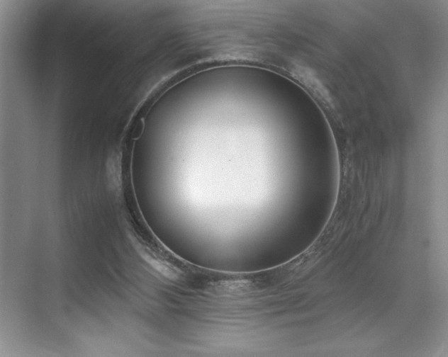 X0000071950108200607071220