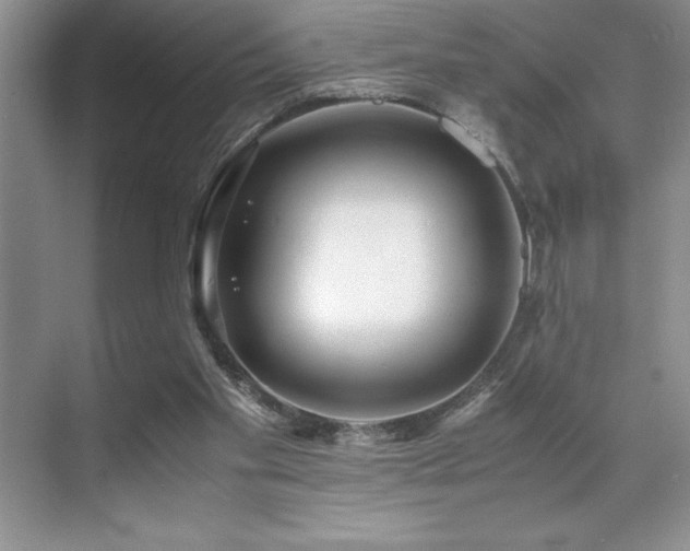 X0000071950109200607071220