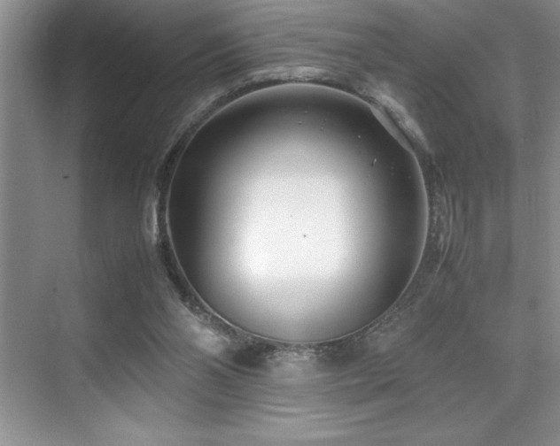 X0000071950110200607071220