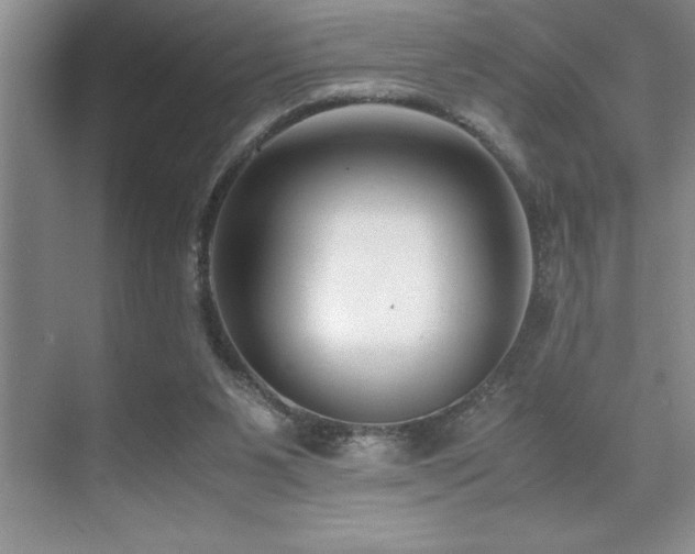 X0000071950111200607071220