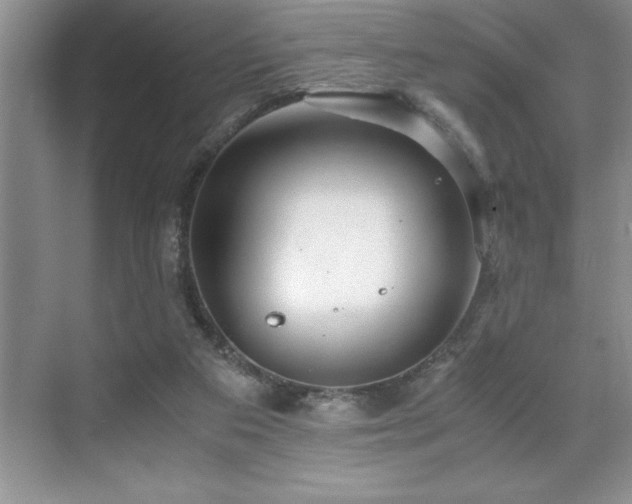 X0000071950113200607071220