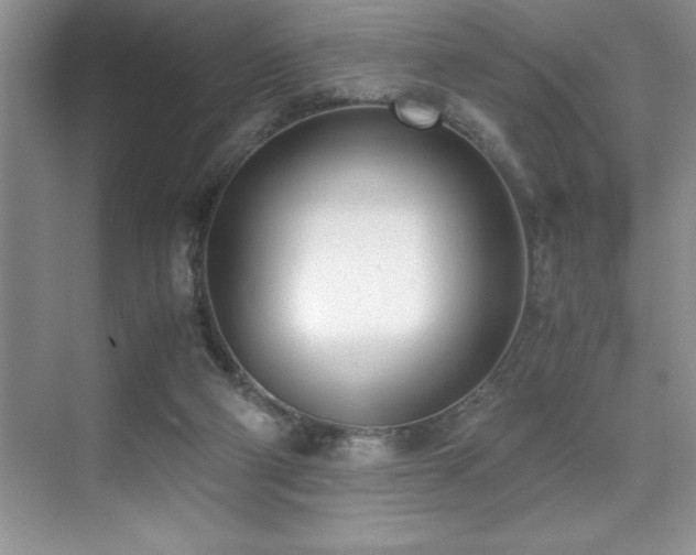 X0000071950114200607071220