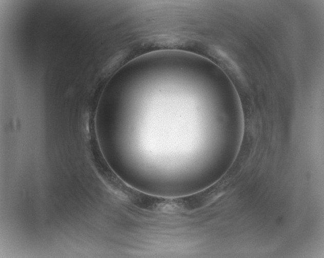 X0000071950115200607071220