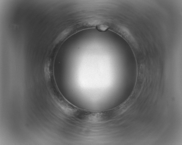 X0000071950116200607071220