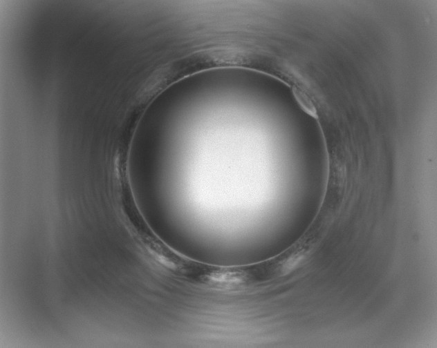 X0000071950117200607071220