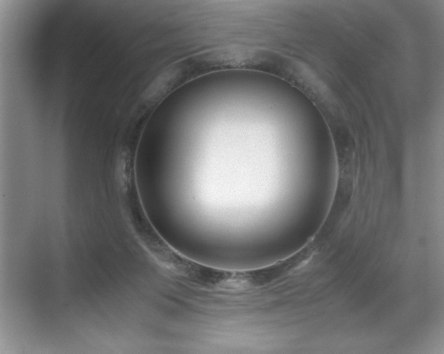 X0000071950119200607071220