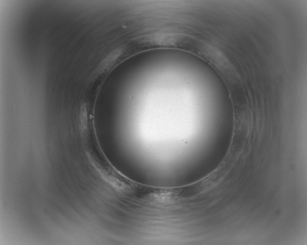 X0000071950120200607071220